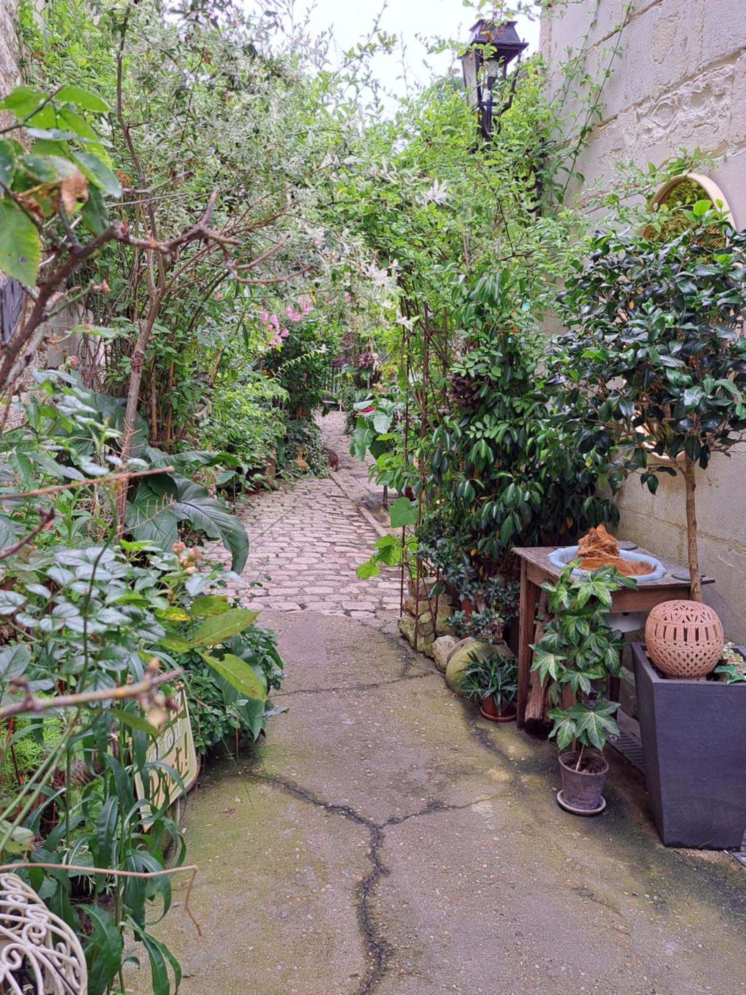 Apartamento Fluorine De Terra-crystal Rochefort (Charente-Maritime)